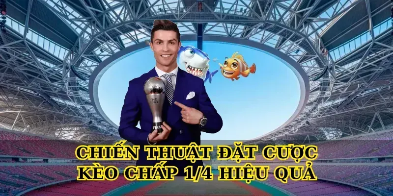 Hướng Dẫn Đọc Và Chọn Kèo Chấp 1/4 Hiệu Quả Cho Người Mới Chiến Thuật Đặt Cược Kèo Chấp 1/4 Hiệu Quả