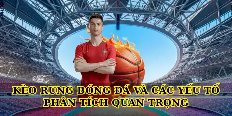 Kèo Rung Bóng Đá: Bí Quyết Soi Nhanh, Bắt Chuẩn Từng Phút Kèo rung bóng đá và các yếu tố phân tích quan trọng